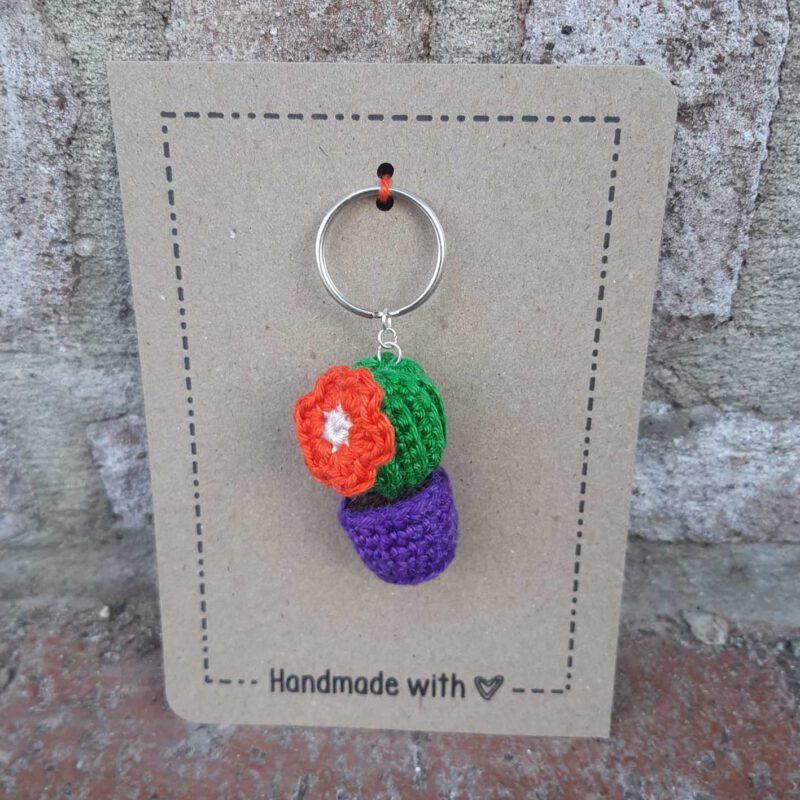 Sleutelhanger cactus paars/rood