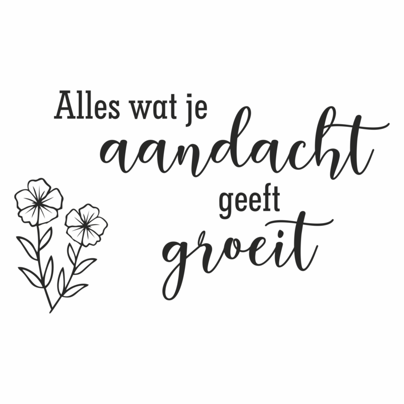 Alles wat je aandacht geeft groeit