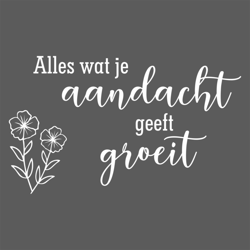 Alles wat je aandacht geeft groeit