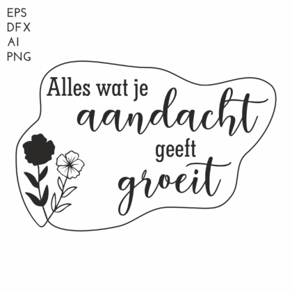 Alles wat je aandacht geeft groeit