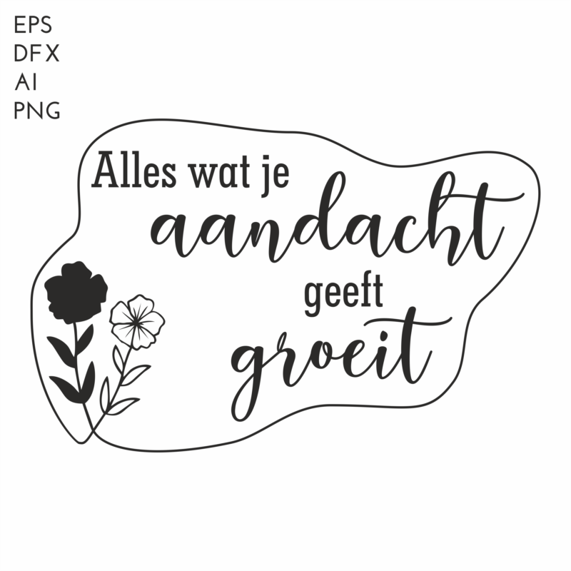 Alles wat je aandacht geeft groeit