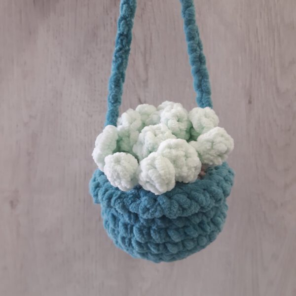 hangplantje hangplantje